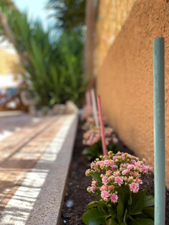 Yucca Apartment Olbia Bagian luar foto