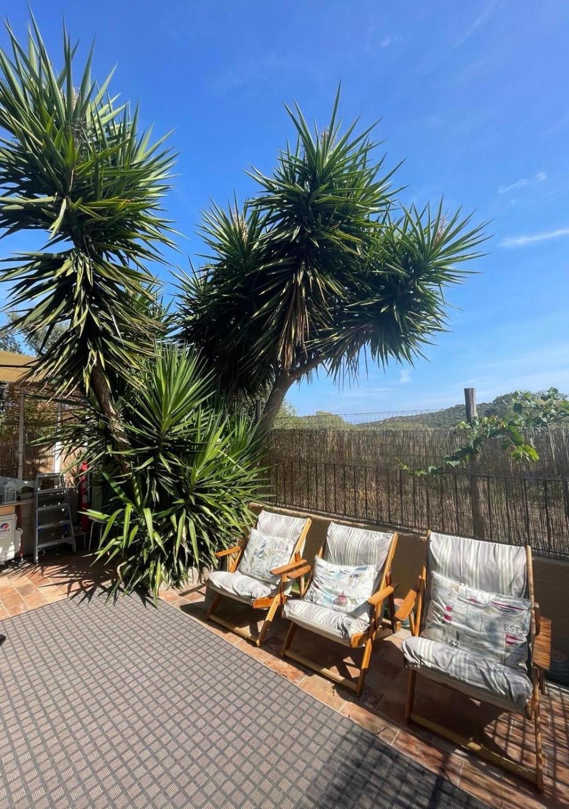 Yucca Apartment Olbia Bagian luar foto
